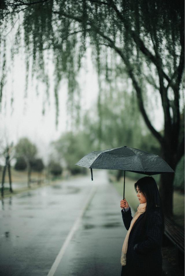 细雨蒙蒙细柳垂顶漫步林中方知万物苏醒