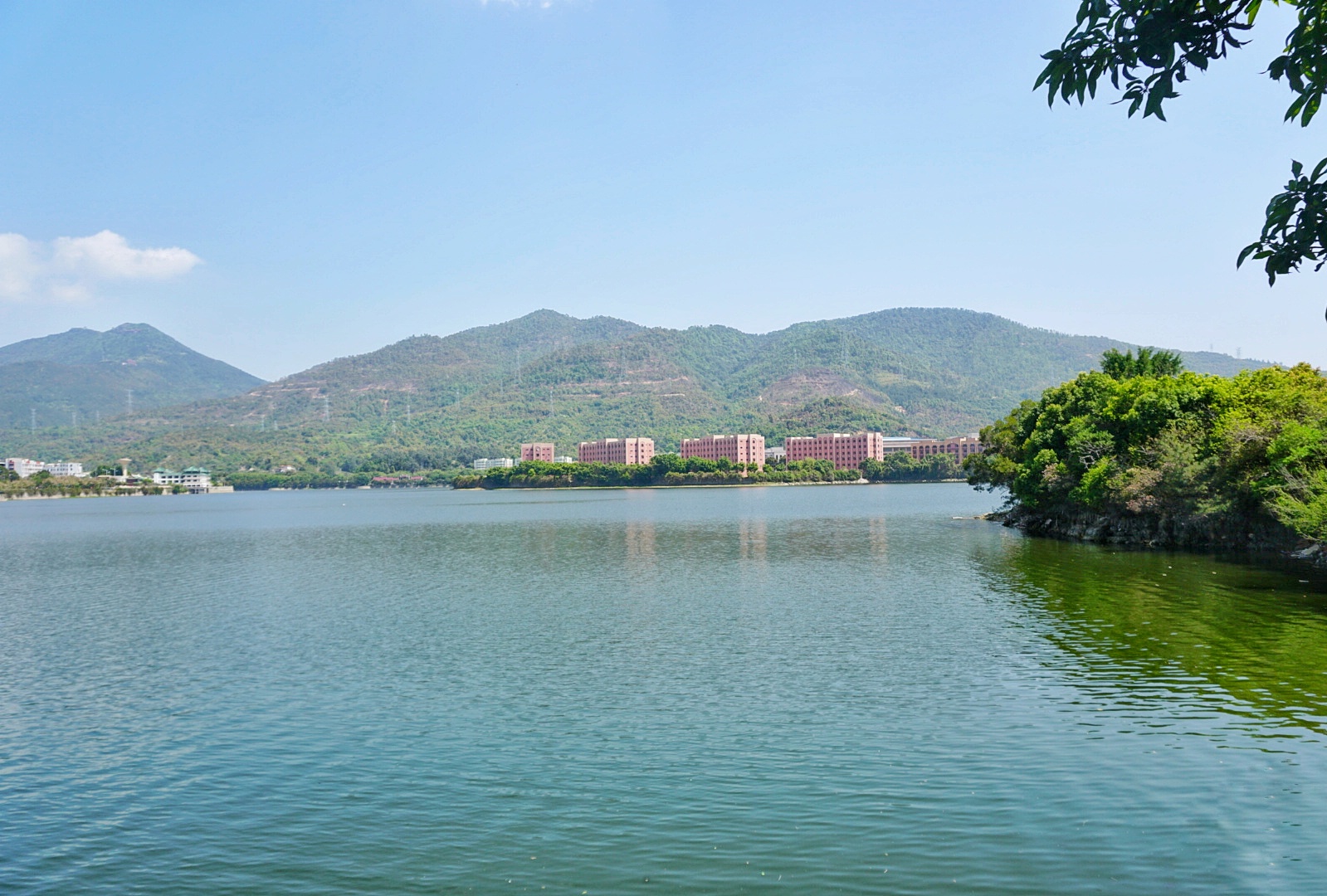 『高校』学校风景优美，不输厦门大学中国第一所民办本科高校