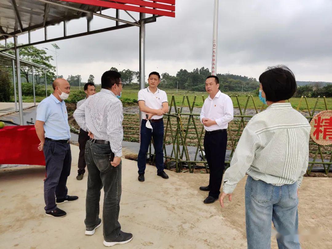 【脱贫攻坚】党建引领 典型引路 | 阳西县溪头镇脱贫攻坚亮点纷呈