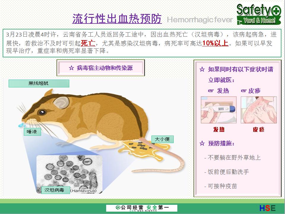 【社内通知】流行性出血热预防