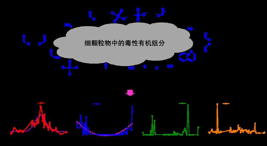 新书推荐 |《大气细颗粒物毒理与健康效应》