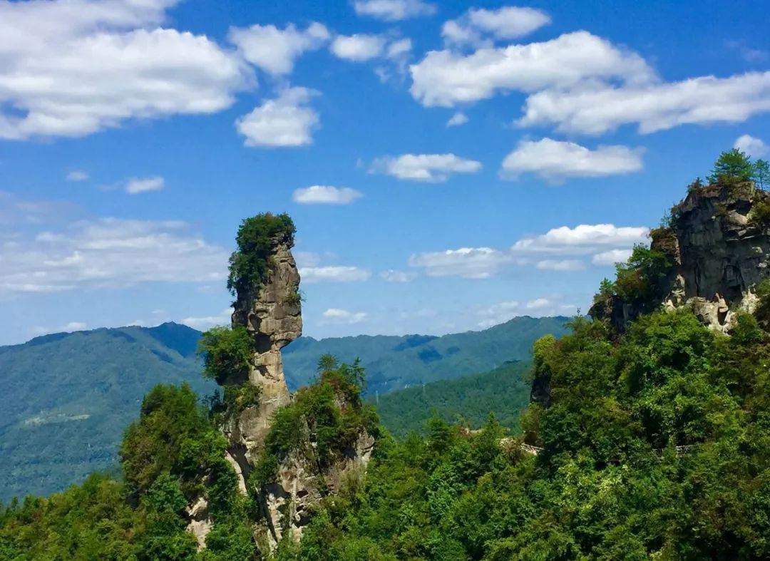 赞石柱县再获国家级生态名片上榜国家森林康养基地