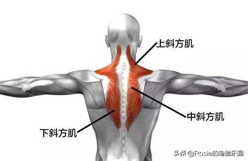 如何变成直角肩最快方法 2eeb09354a394f1f8be6491715d274a2.jpeg