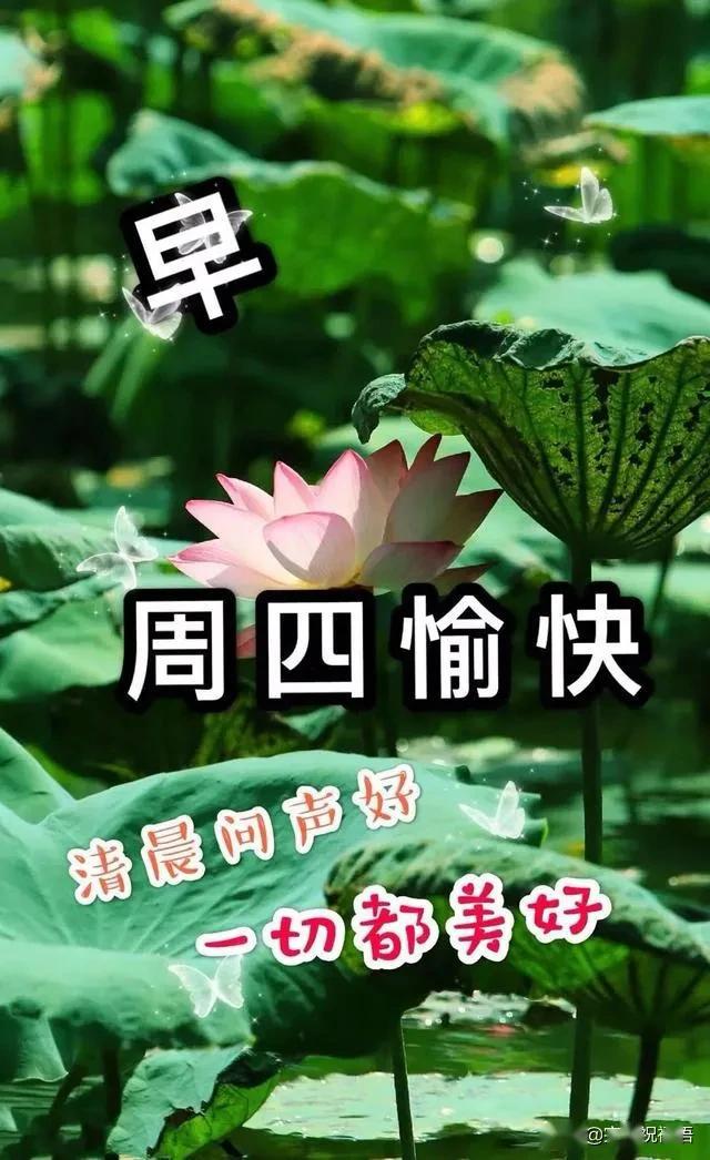 4月2日周四早上好温馨祝福语短句,微信早上最美的祝福