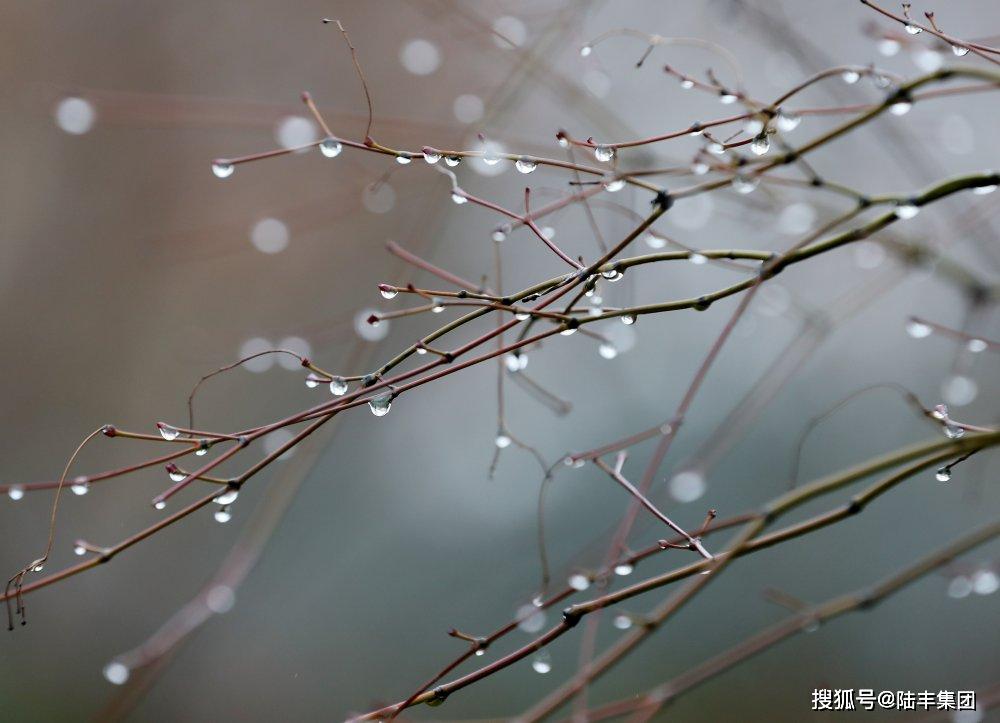 阴雨绵绵,你家的墙面还好吗?需要涂兰朵出手吗?