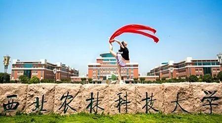 「理科」上海理工大学与西北农林科技大学，选哪所？理科595分