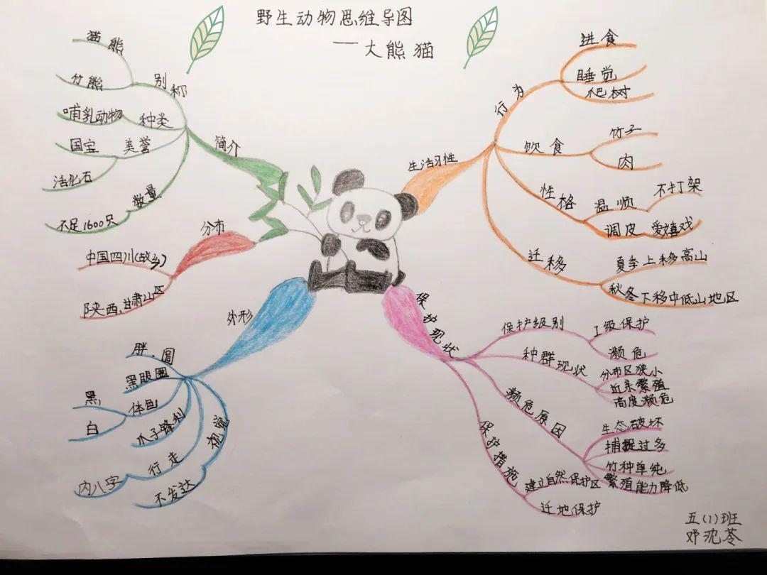 【精彩课程】|五年级书香节活动——野生动物调研