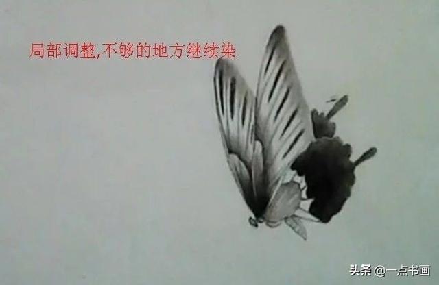 画蝴蝶国画视频 3e16d96914bc430c8021e1e20a507187.jpeg