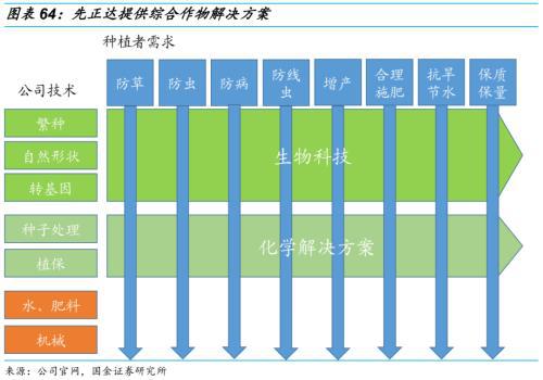 全球饥饿人口_今年全球饥饿人口突破10亿 创40年最高(3)