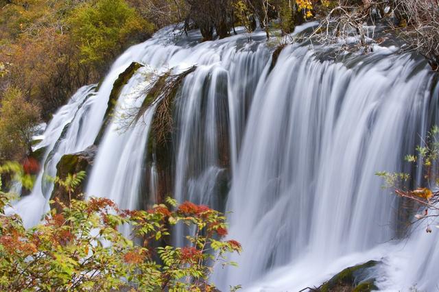 是入沟见到的第一个瀑布,也是九寨沟四大瀑布中最小的
