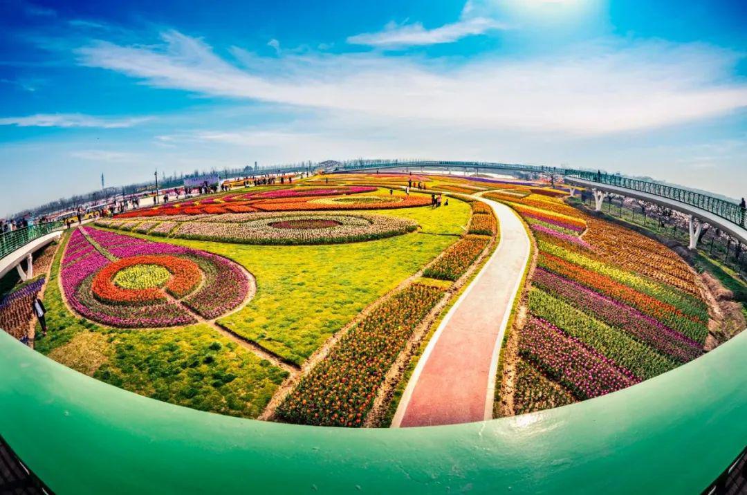 伊甸园景区(百花园,千亩梨花,樱花,郁金香,芝樱,用餐)——大伊山景区