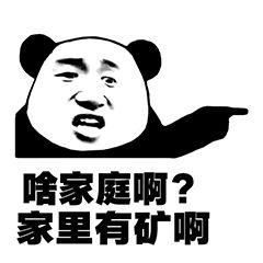 怼有矿表情包：啥家庭啊，说话这么拽，家里有矿啊？嗯,有矿