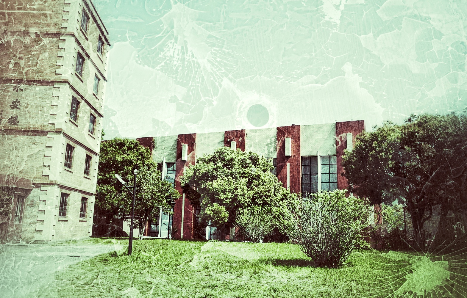 『高校』学校风景优美，不输厦门大学中国第一所民办本科高校