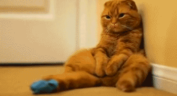 7634c581d8014da08bed68f21cec13b9.gif