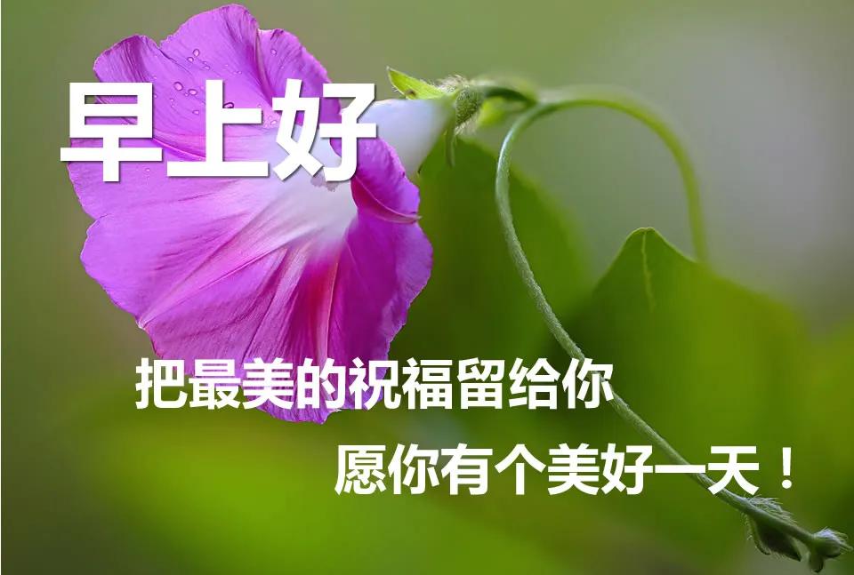 微信发给朋友的早上好图片问候 早上好表情图片
