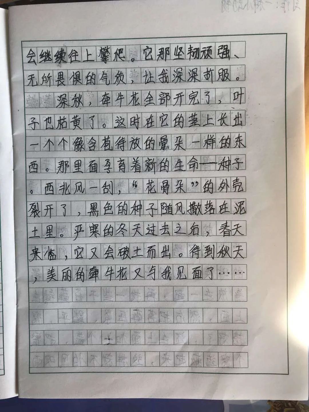 【停课不停学】香河富力乐英实验学校网络教学之三年级作文课