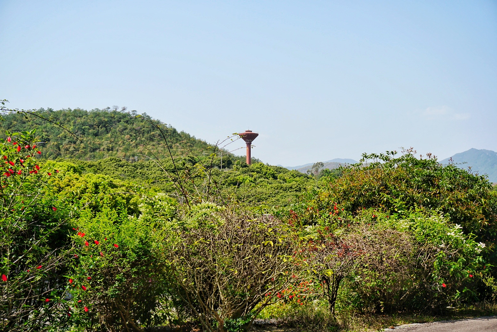 『高校』学校风景优美，不输厦门大学中国第一所民办本科高校