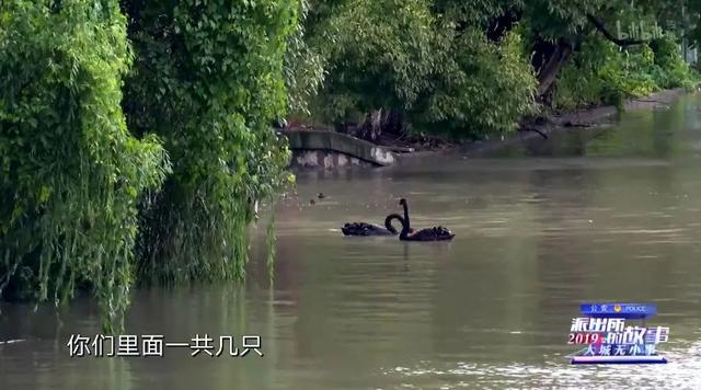 《派出所的故事》里奇葩事多，派出所里拼演技