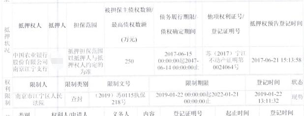 还不起房贷！江宁小伙的房子被银行低于市场价150万拍卖了