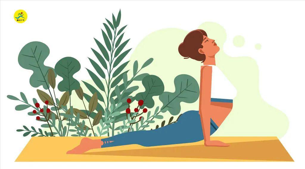 【健身宝典】居家腰腹训练课程