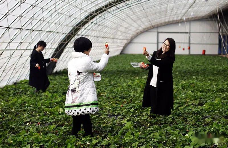 【三开云体育 Kaiyun.com 官网入口农融合】休闲农业规划到底该怎么做？(图8)