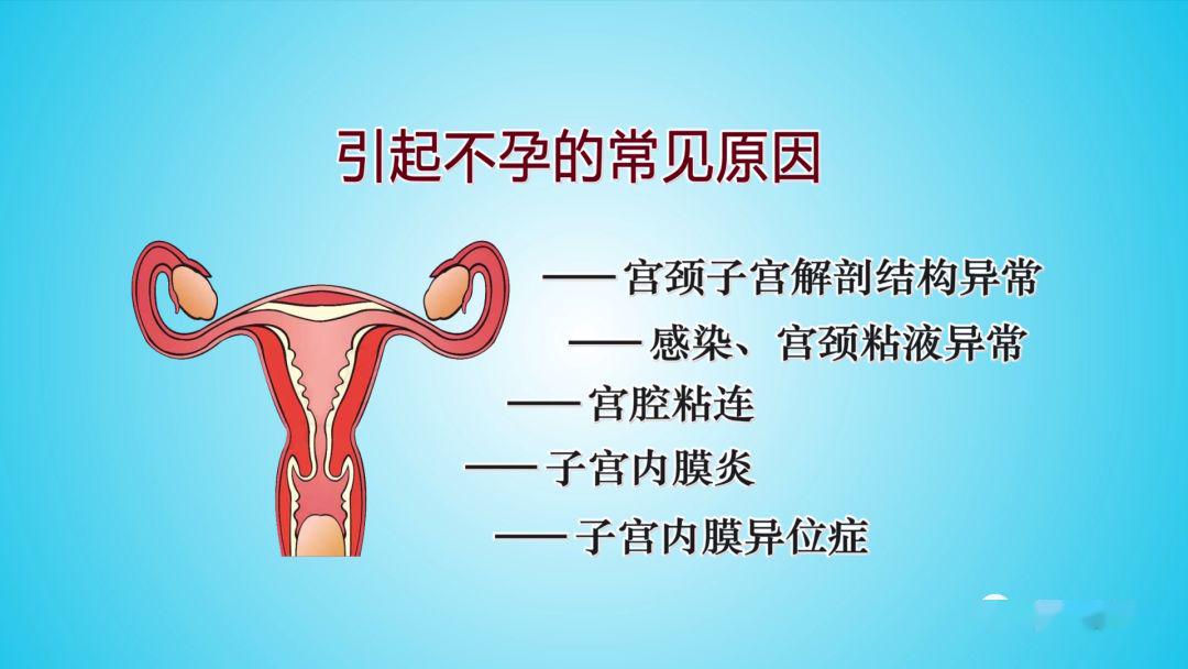 【健康新会】优生优育!受孕前3个月,请停止干这些事