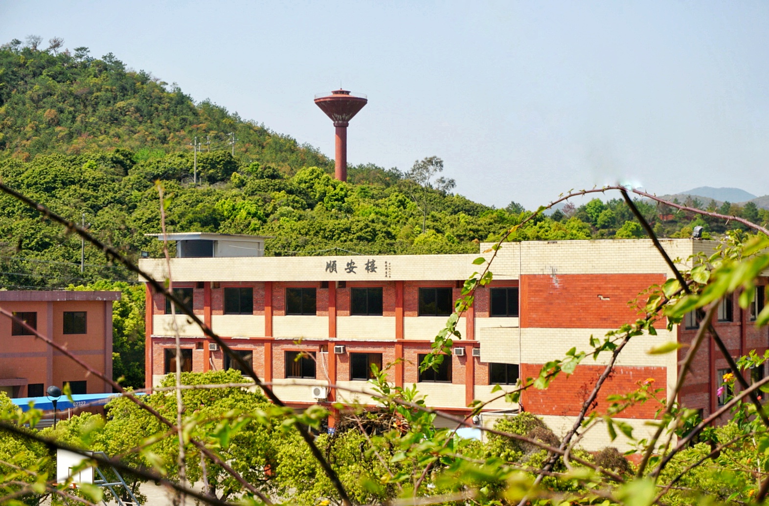 『高校』学校风景优美，不输厦门大学中国第一所民办本科高校