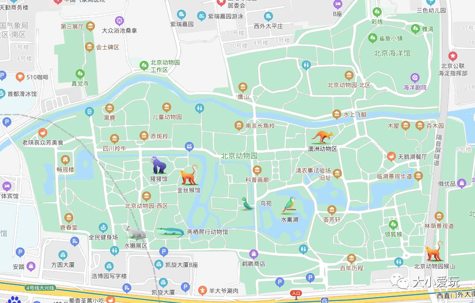 重新开园第一个周末实探北京动物园这几点打卡前你一定要知道