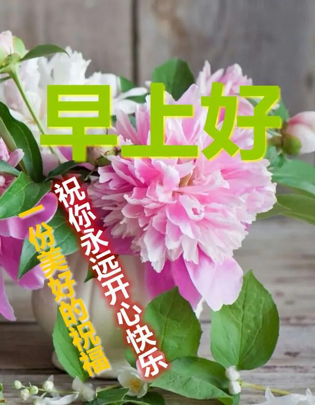 4.2清早问候语录图片鲜花带字 清晨最美表情图片早上好图