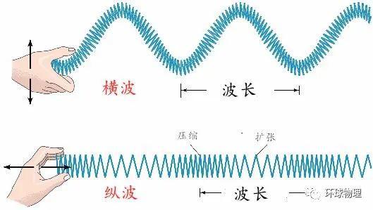 根据波的传播方式,我们有两种基本的波:横波和纵波.