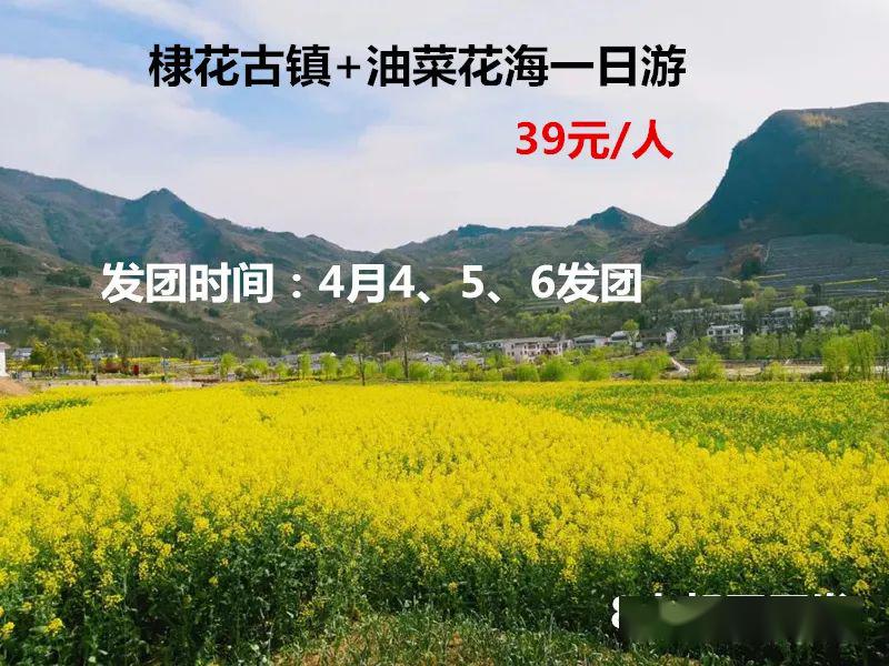 富水镇人口_人口普查