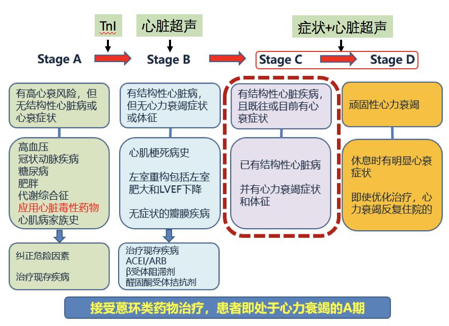 张美岭教授:心功能异常的监测