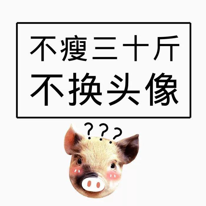 英子|100张五种系列,港风,欧美,文字,萌宠,情侣,火爆的微信头像,赶快