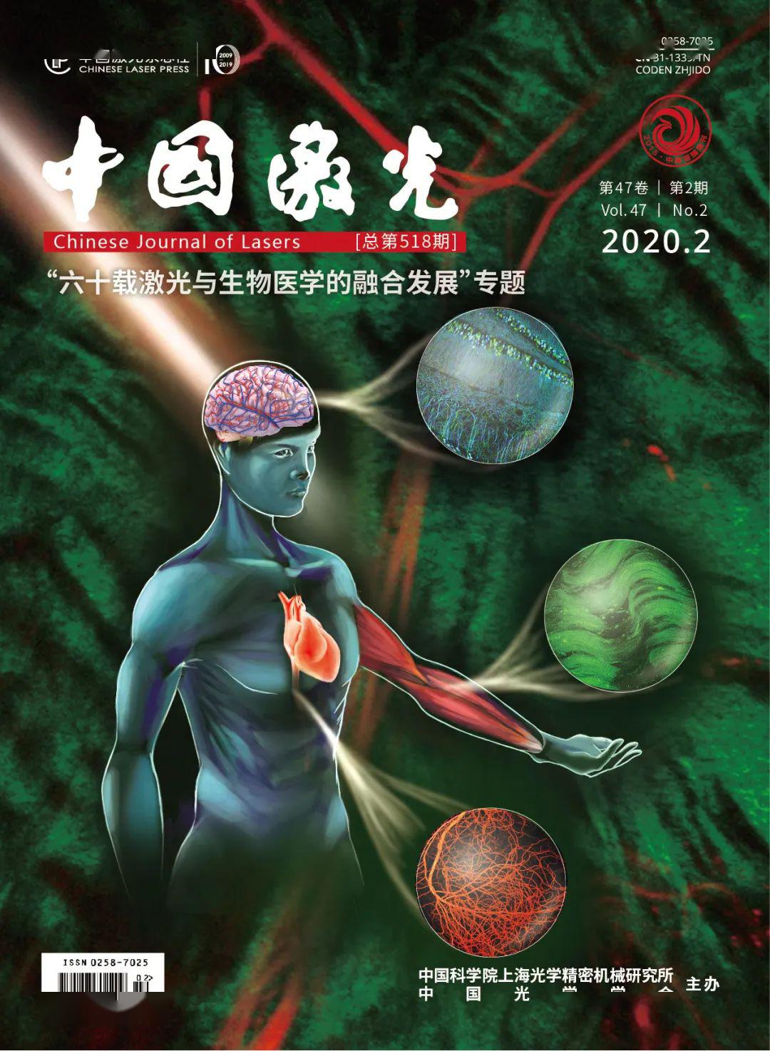 封面故事| 生物组织内纤维状结构的高分辨定量光学成像_取向