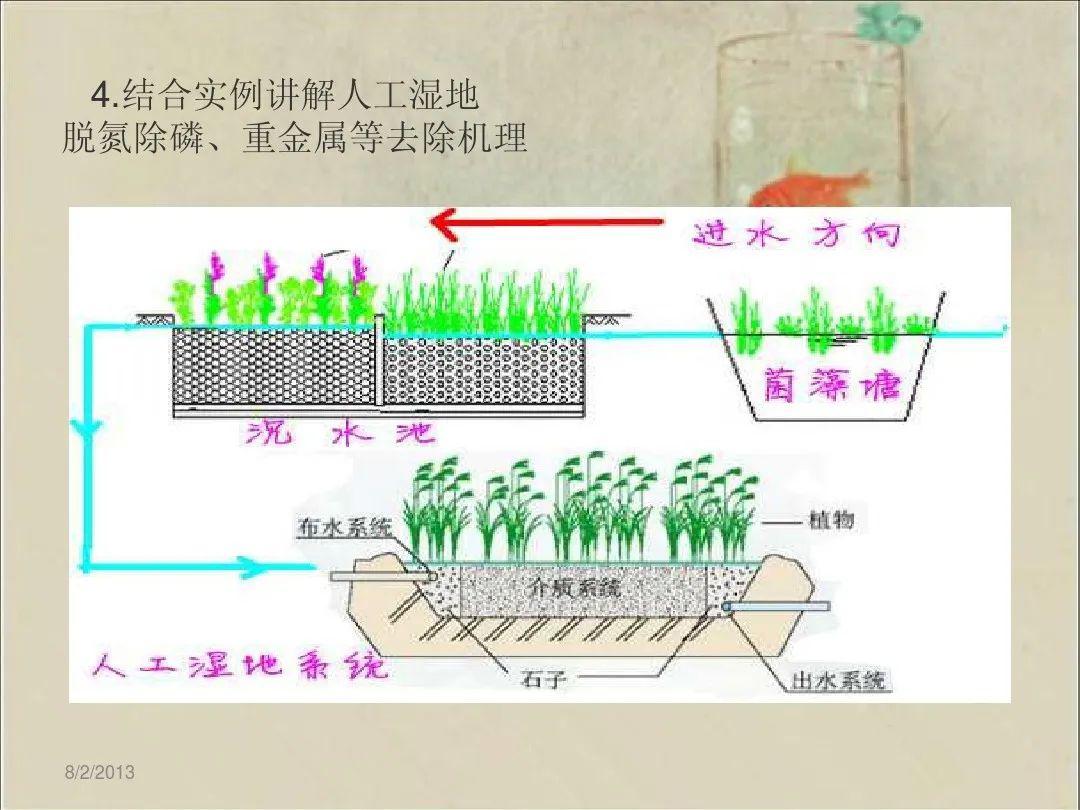 人工湿地设计步骤从参数到结构这个ppt讲全了