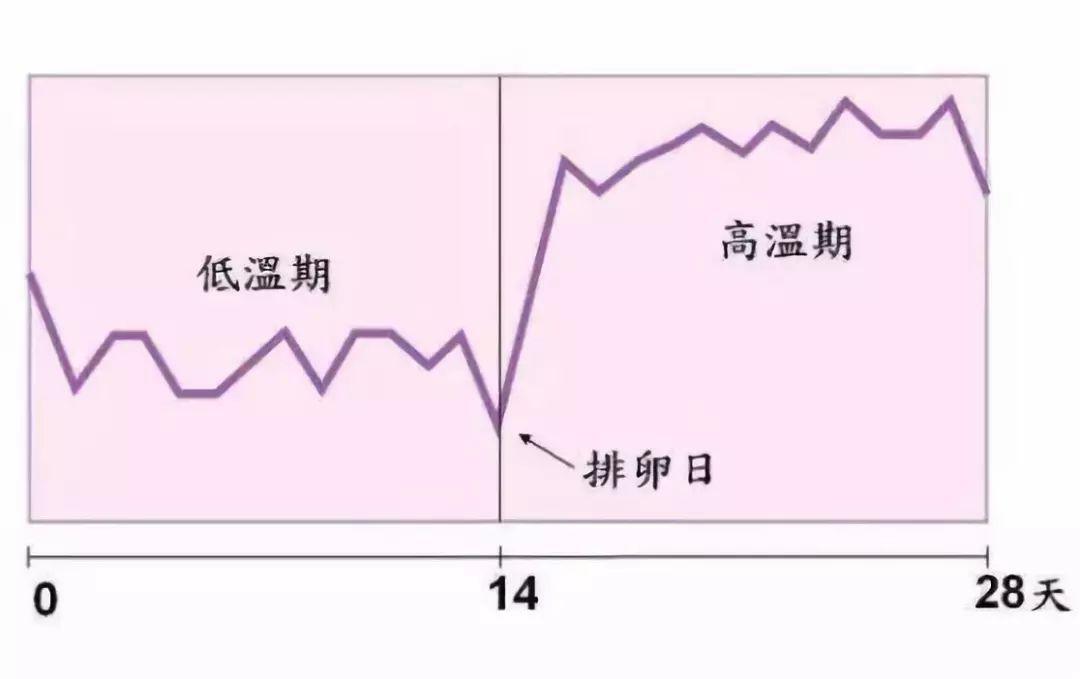 月经停止是怀孕的第一信号其实这四个信号比停经来得更早女性