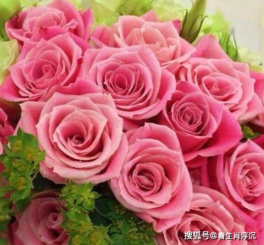 玫瑰花怎么吃才最好 ea29b0a70f2c4e6eaaf0724607a66bfa.jpeg