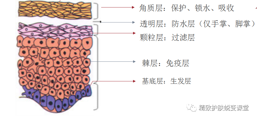 f0cf41d755ad4745b093a943dd2553d7.png
