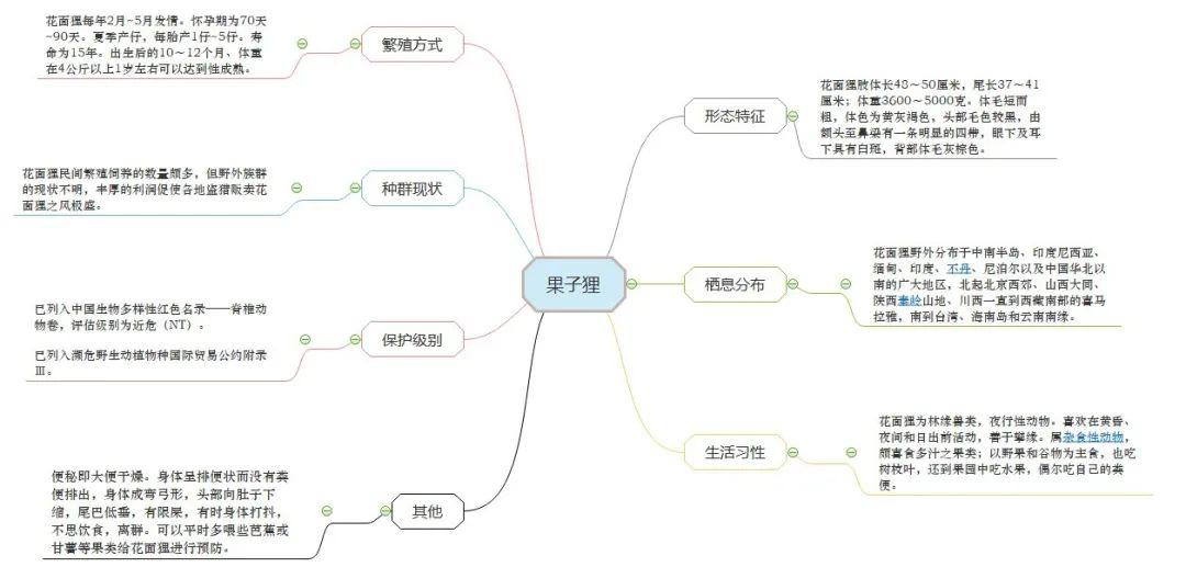 面对一篇篇精彩的思维导图作品,评委老师们从多个维度进行公平公正的