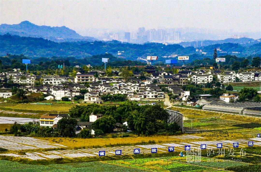 村【泸县】喻寺镇谭坝村玉蟾街道龙桥社区云龙镇伏耳村【合江县】榕山