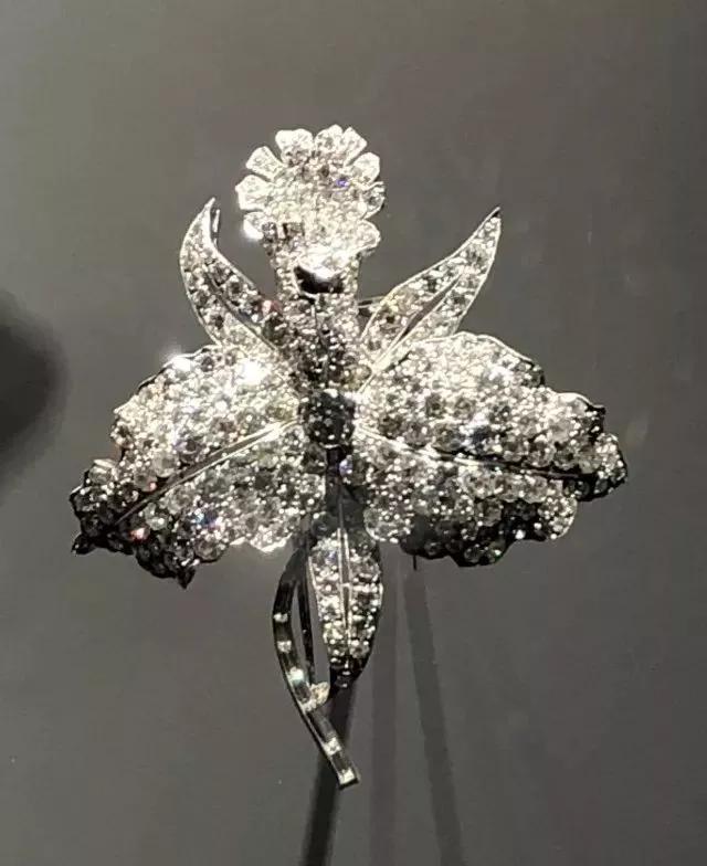 �ع� | ����ű���ض���չ