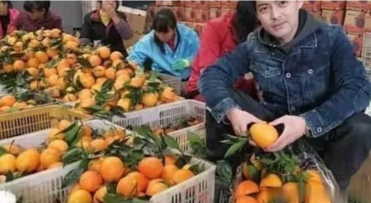 盘点十张路人的“明星脸”：几乎以假乱真，第