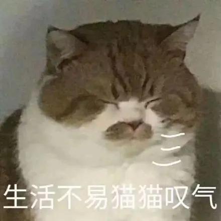 考生■各位考生千万注意~高考延期对考生的挑战只有这两点