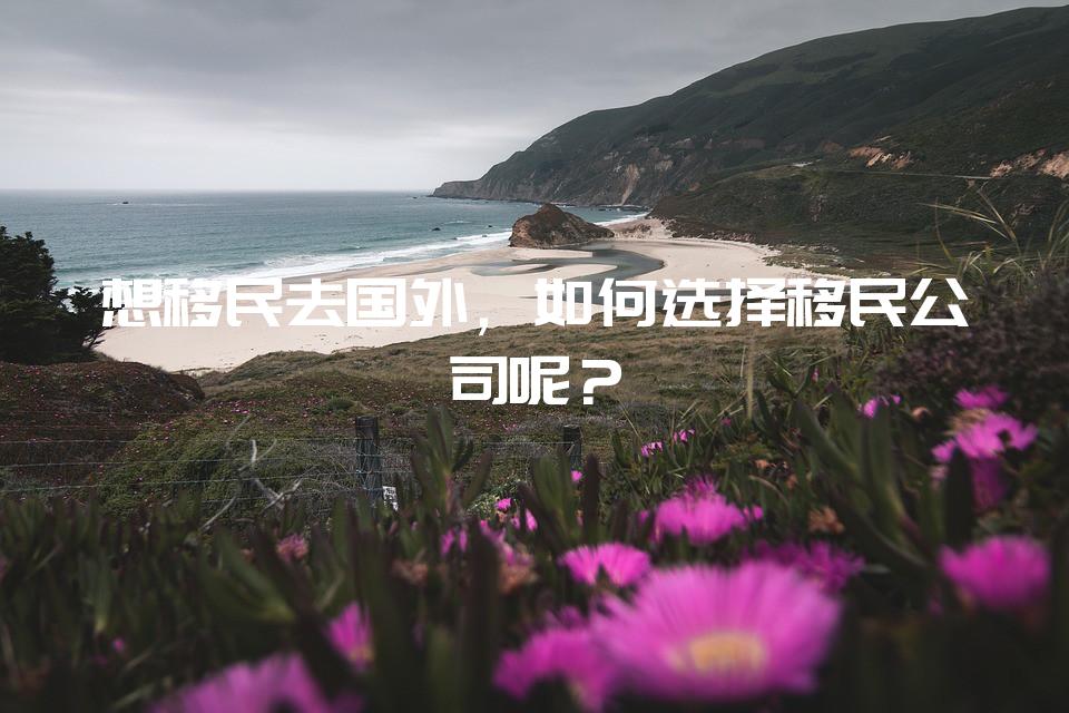 谈球吧体育想移民去国外如何选择移民公司呢？(图1)