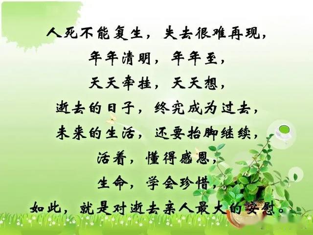 逝去的亲人古筝曲谱_怀念逝去亲人的图片