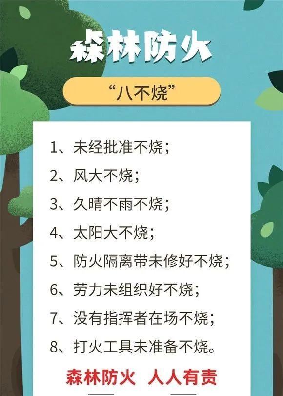 森林火灾绝大多数是人为引发这十不准八不烧必看