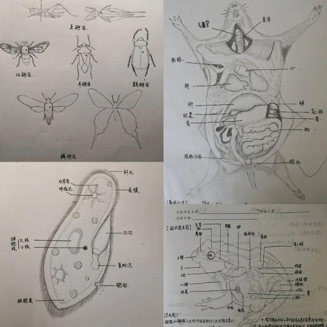 看看沪上46所高校大学生们的神仙笔记就知道了!