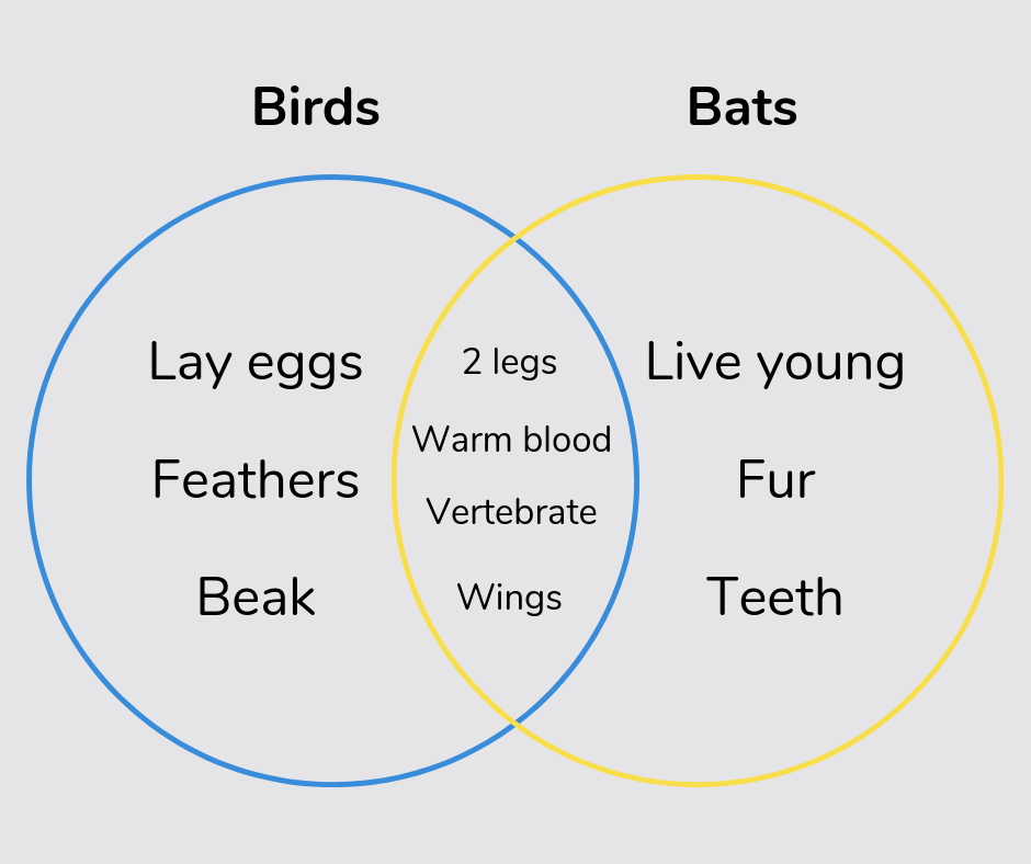 venn diagram维恩图解