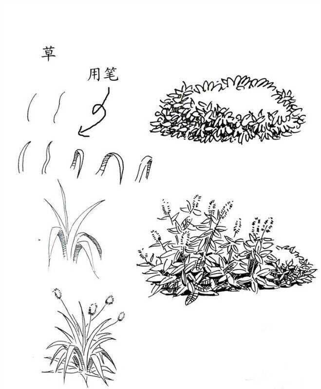 景观植物钢笔手绘技法