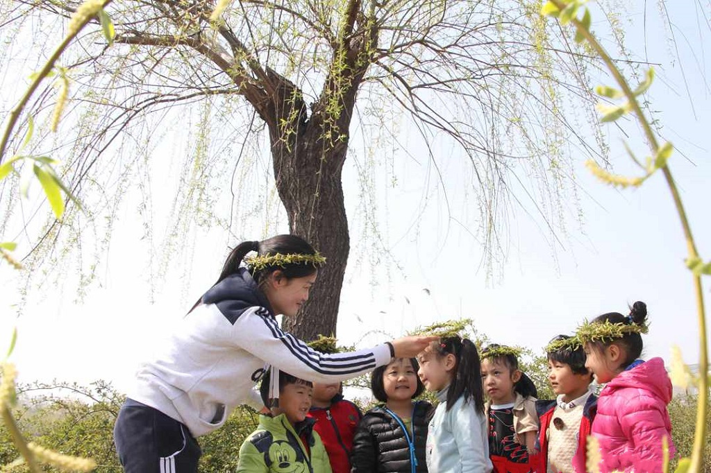 清明节除了祭祀为何还有戴柳插柳的民俗究竟有何寓意